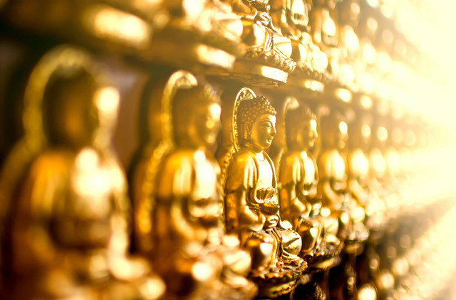 Foto: www.pexels.com