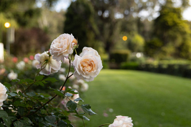 Sumber Foto: Shutterstock