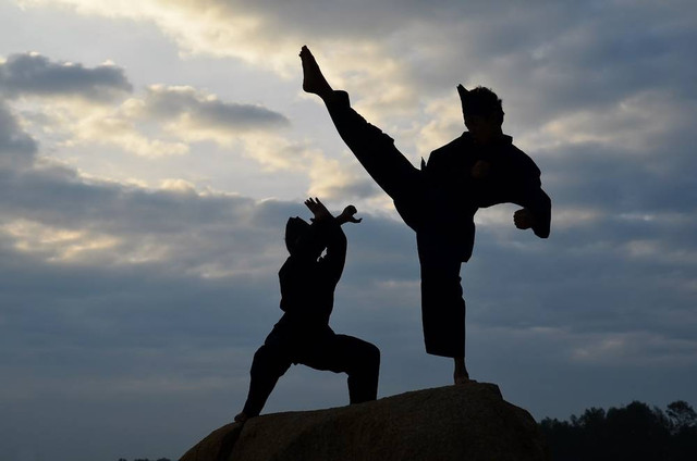 Ilustrasi pencak silat. Foto: Ery Azmeer/Shutterstock