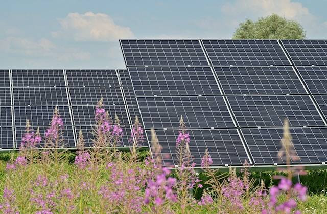 Ilustrasi Komponen Solar Home System dalam Sistem Sel Surya. Foto: dok. Unsplash/Andres Siimon