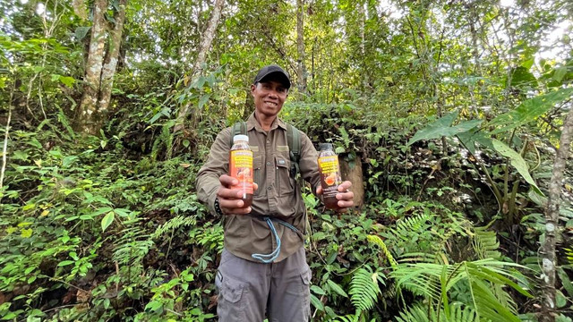 Labi Mopok, petani madu sekaligus perawat Hutan Taman Kehati Kokolomboi, Desa Leme-Leme, Banggai Kepulauan, Kamis (2/11/2023). Foto: Ema Fitriyani/kumparan