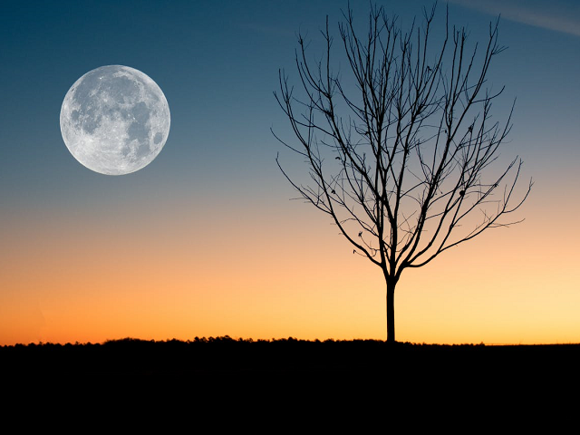 Ilustrasi di mana posisi bulan saat siang hari. Sumber: pexels.com/DavidBesh.