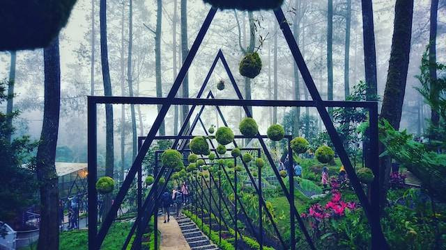 Ilustrasi rekomendasi wisata keluarga di Lembang Bandung, sumber foto: unsplash.com/Bimo Prasetyo