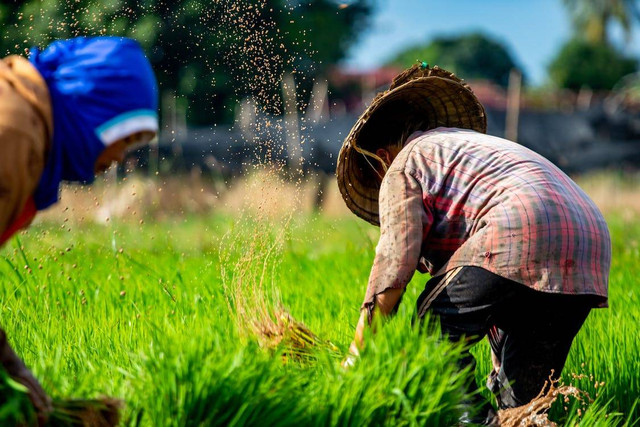 Ilustrasi apa itu masyarakat agraris. Sumber : pexels