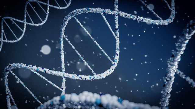 Ilustrasi RNA. Foto: Unsplash