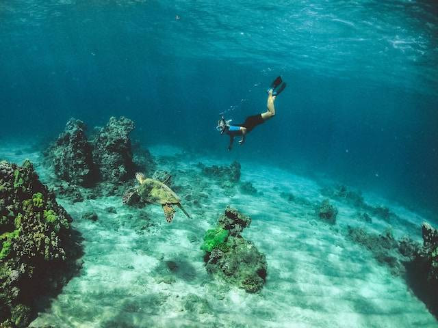 Ilustrasi wisata snorkeling di Bali, sumber foto: unsplash.com/Subtle Cinematics