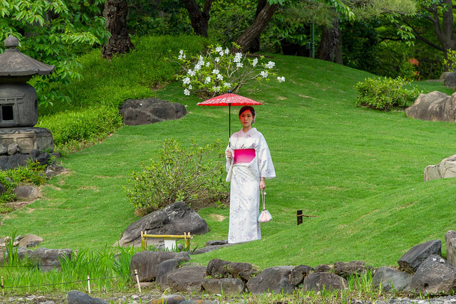 Ilustrasi Cara Menanam Rumput Jepang. Unsplash/Maria K.