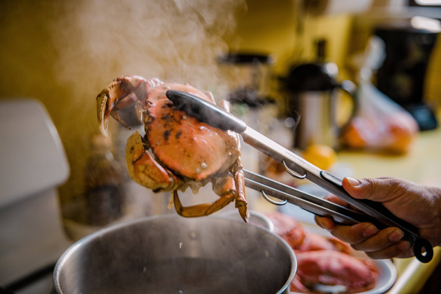 Ilustrasi Cara Masak Kepiting Rumahan. Unsplash/Jason Leung.