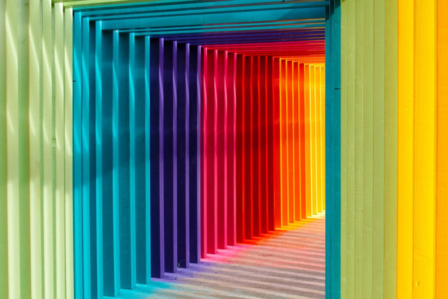 Pengertian Warna Primer dan Warna Sekunder, Sumber Unsplash Robert Katzki