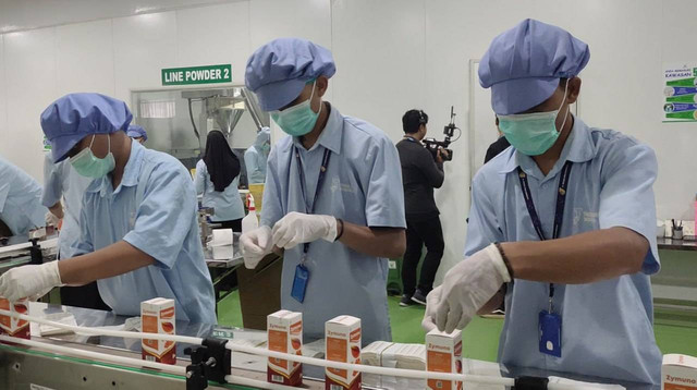 Para pekerja di pabrik jamu. Foto: San