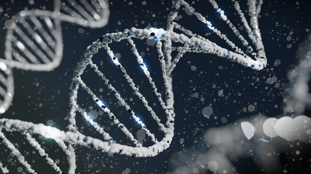 Pengertian genetika dalam dunia hayat. Foto: Unsplash/Sangharsh Lohakare