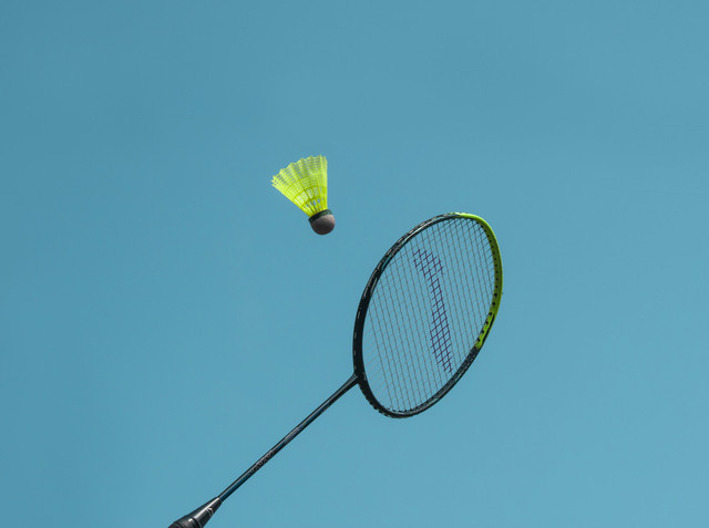 Ilustrasi Harga Tiket Tepok Bulu Vindes 2023. Unsplash/aboodi vesakaran.