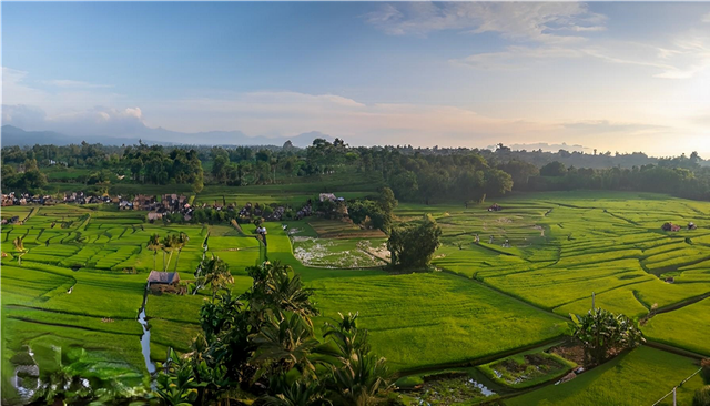 Foto area persawahan di Desa Banyukapah Kecamatan Kedungdung Kabupaten Sampang, Sumber: Dok. Pribadi Imam Sahroni Darmawan