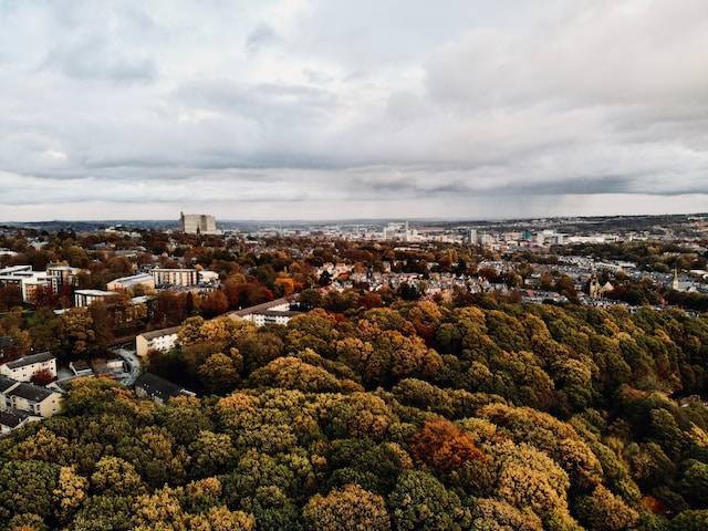 Ilustrasi Hutan Kota Srengseng. Sumber: unsplash.com/Benjamin Elliott