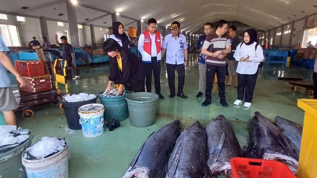 Monitoring lapangan yang dilakukan oleh Kantor Staf Presiden (KSP) di pelabuhan perikanan yang ada di Sulawesi Utara.
