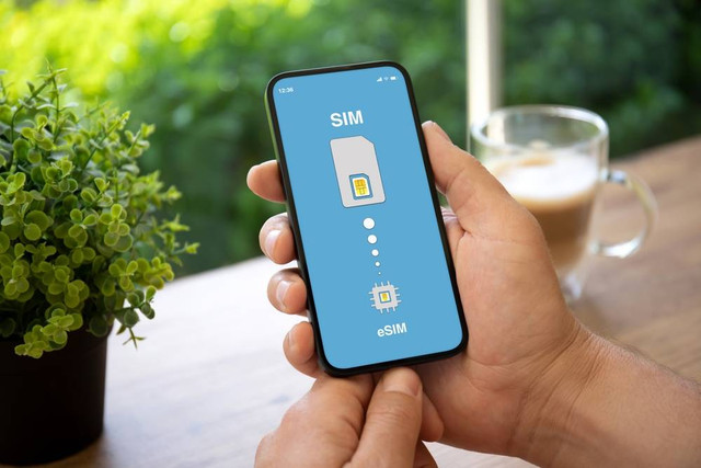 Ilustrasi pemasangan eSIM. Foto: DenPhotos/Shutterstock