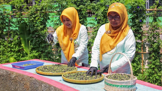 Ibu-ibu kelompok tani Bendan Ngisor atau Poktan Bensor di Kelurahan Bendan Ngisor, Kecamatan Gajahmungkur, Kota Semarang. Foto: BRI