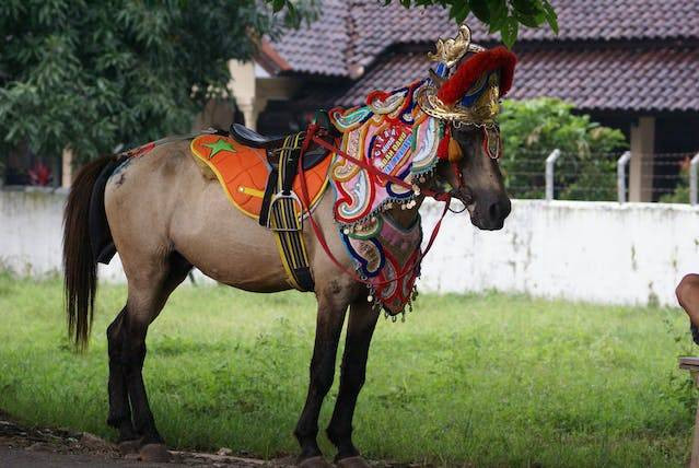 apa manfaat keberagaman budaya di indonesia? Sumber: pexels.com/Asep Nugraha