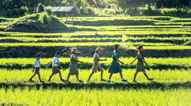 Ilustrasi Siapakah Bapak Pandu Indonesia? (Sumber: Pixabay)