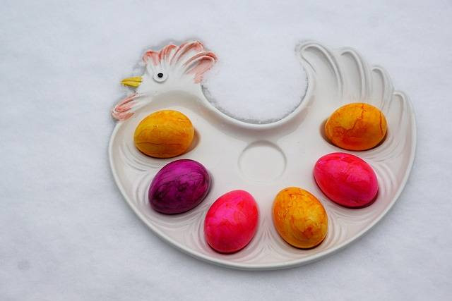 Ilustrasi pakan anak ayam umur 0-1 bulan, sumber foto: photosforyou by pixabay.com