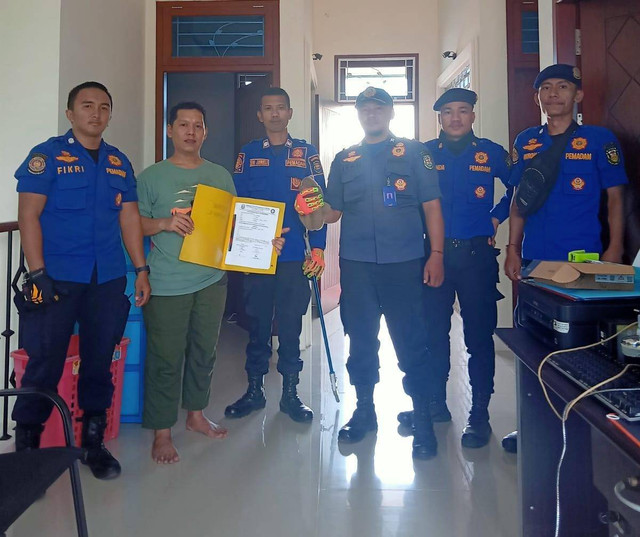 Kukang liar yang berhasil dievakuasi personil Dinas Pemadam Kebakaran dan Penyelamatan Kota Bandar Lampung. | Foto: Dok Dinas Pemadam Kebakaran dan Penyelamatan Kota Bandar Lampung