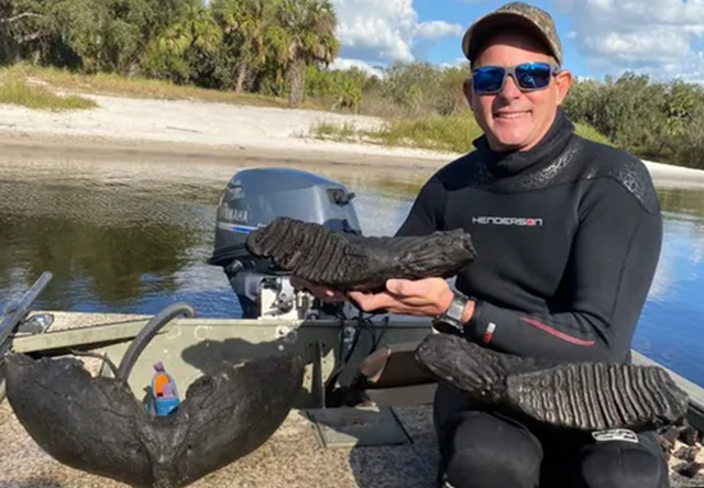 John Kreatsoulas dan fosil rahang mammoth berusia 10.000 tahun.  Foto:  John Kreatsoulas/fossiljunkies