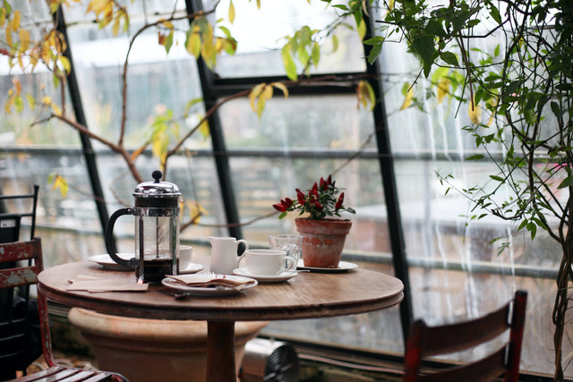 Ilustrasi Cafe Trawas View Gunung. Foto: Unsplash/Kris Atomic