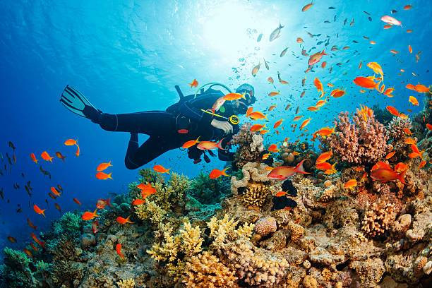 Ilustrasi Tempat Wisata Di Klaten Yang Lagi Hits 2023, Foto: Unsplash/ultramarinfoto.