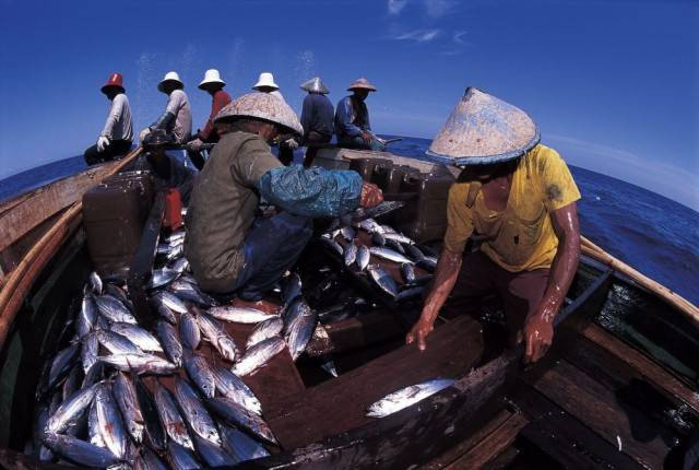 Nelayan Indonesia Sedang Melaut. Foto: Dok. Kumparan
