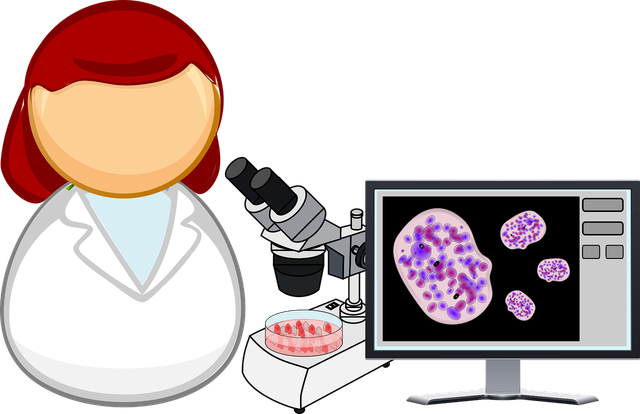 Ilustrasi contoh sel pada tumbuhan. Sumber: Pixabay / OpenClipart-Vectors
