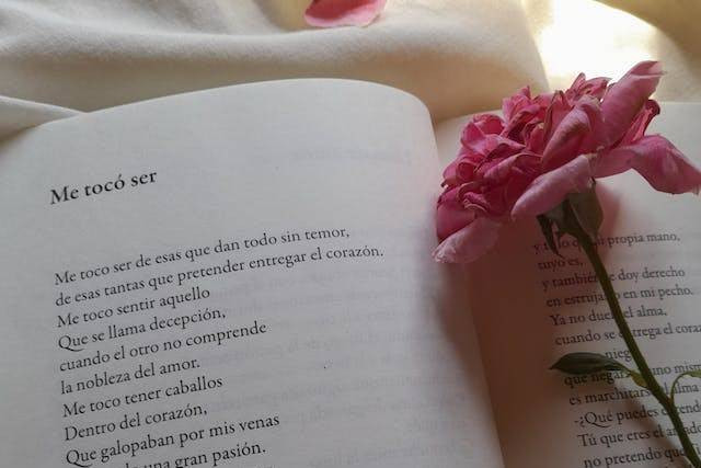 Pengertian Rima pada Puisi. Foto: Pexels