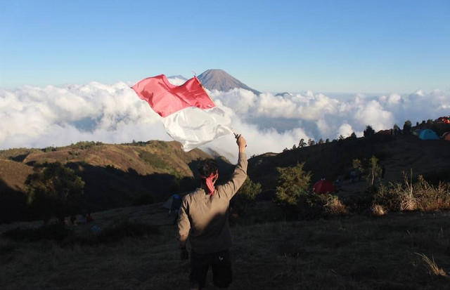 Ilustrasi Makna Sebutan Ayam Jantan dari Timur. Sumber Unsplash/Falaq Lazuardi