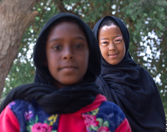 Faktor utama terjadinya genetic drift. Sumber: Pexels/Zaid Mohammed