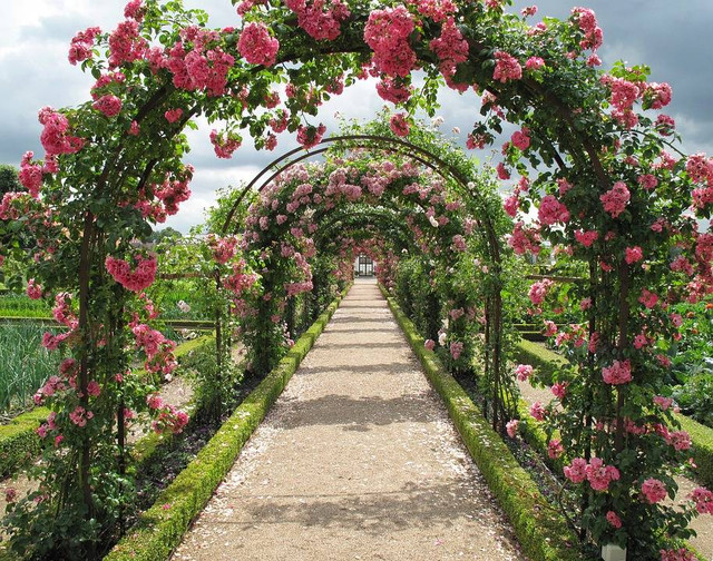 Ilustrasi Taman Kehati Blitar. Foto: Pixabay/Karsten_Madsen