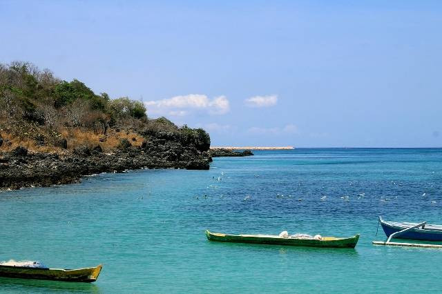 Ilustrasi moko. Foto: Pixabay