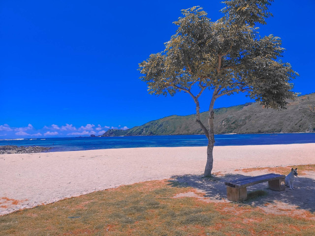Ilustrasi Pantai Jerman di Bali. Sumber: Unsplash/Saepul