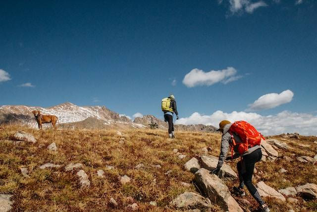 Ilustrasi Manfaat Hiking. Foto: dok. Unsplash/Holly Mandarich