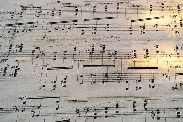 Ilustrasi Jenis-jenis Ornamentasi Musik. Sumber: unsplash.com/ weston m.
