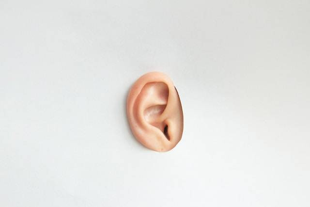 Ilustrasi Indra Penikmat Cabang Seni Musik Adalah. Sumber: Unsplash/Franco Antonio Giovanella