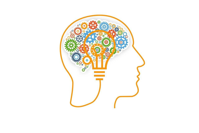 https://cdn.pixabay.com/photo/2018/11/21/08/37/brain-3829057_1280