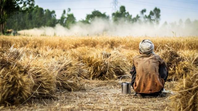 Ilustrasi dampak Landrent System. Foto: Pixabay