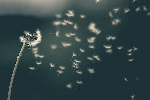 Ilustrasi mengapa bisa terjadi pembelokan arah angin. Foto: Unsplash/Saad Chaudhry