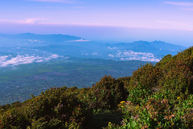 Pantun Ulang Tahun Kota Solok, Foto Hanya Ilustrasi: Unsplash/Vinsent Alexandro