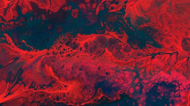Ilustrasi Urutan Peredaran Darah Ganda. Sumber: unsplash.com/ Cassi Josh
