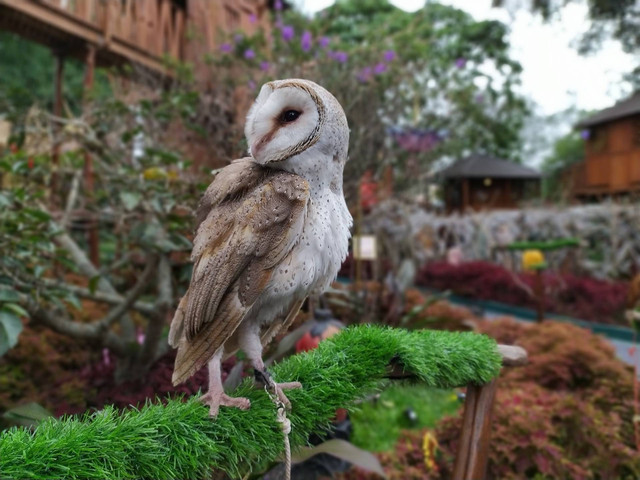 Dago Dreampark. Foto hanya ilustrasi, bukan foto sebenarnya. Sumber: Unsplash/eki marhaban