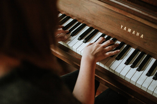 Ilustrasi Macam-Macam Alat Musik Melodis. Sumber: Unsplash/Jordan Whitfield
