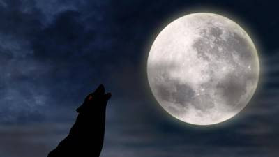 iilustrasi mmalam foto:istockistock/creativalimages