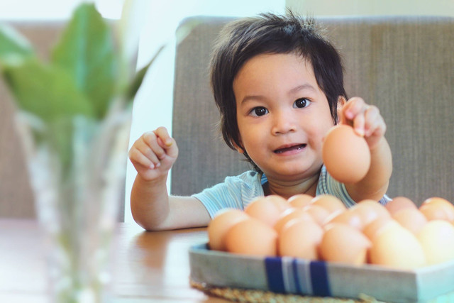 Ilustrasi anak makan telur. Foto: Mama Belle and the kids/Shutterstock