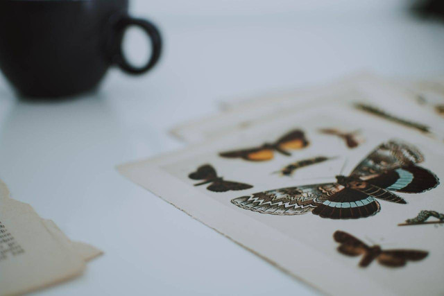 Gambar dari contoh cetak datar. Sumber: pexels.com/lil artsy