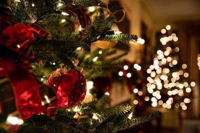 Ucapan Selamat Natal untuk Orang Katolik. Foto sebagai ilustrasi. Sumber: Unsplash/Tessa Rampersad.
